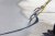 A machine application contributes to a considerable acceleration of the waterproofing work, especially on larger areas.